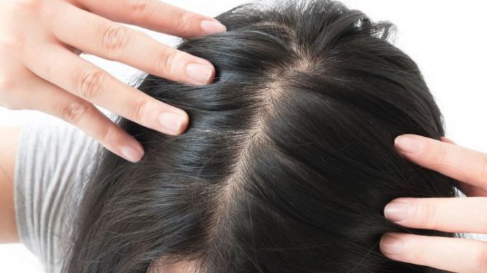 Tips Menebalkan Rambut dengan Alami: Rahasia Rambut Lebih Tebal dan Sehat!